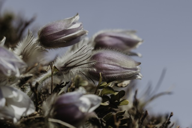 ABGESAGT - Stille und Innerlichkeit als Lebensressourcen