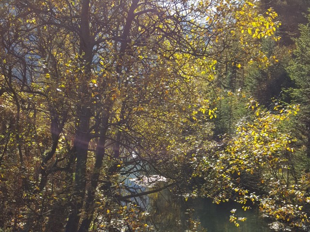 Schritte - Worte - Begegnungen. Sanftes Wandern im Wipptal - ABGESAGT