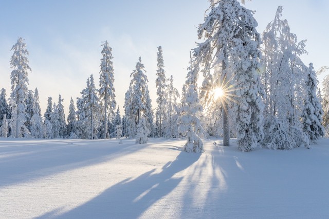 In der Stille des Winters liegt die Kraft für das Neue