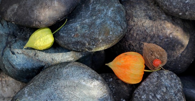 Telefonseelsorge: Jugendliche in Krisen brauchen ein offenes Ohr