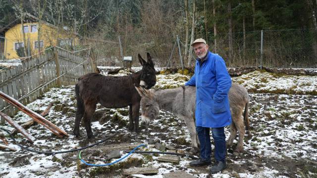 Zum Palmsonntag: Zwei Eselinnen im Schneefall