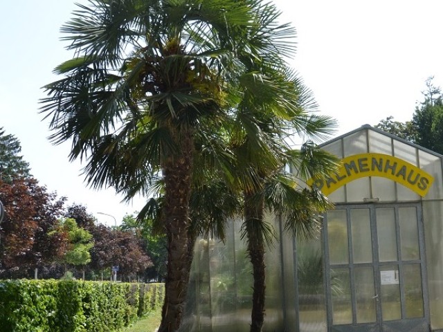 Trauerspaziergang Hofgarten Innsbruck