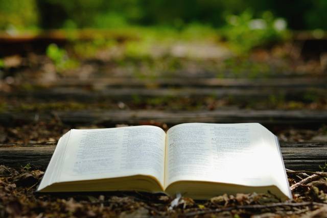 Das Wort Gottes ist alles, was wir brauchen.