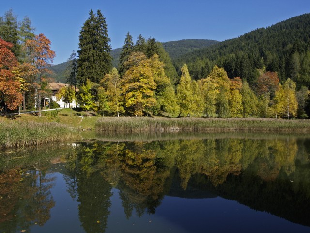 Kraftsee-Festival