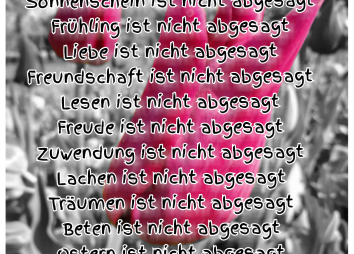 Nicht Alles Ist Abgesagt